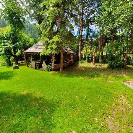 Miechogrod Homestay